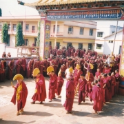 给色拉寺供养第五世达赖喇嘛佛像时摄。 色拉杰寺住持格西强巴德卓（前），詹杜固仁波切（左三） 。